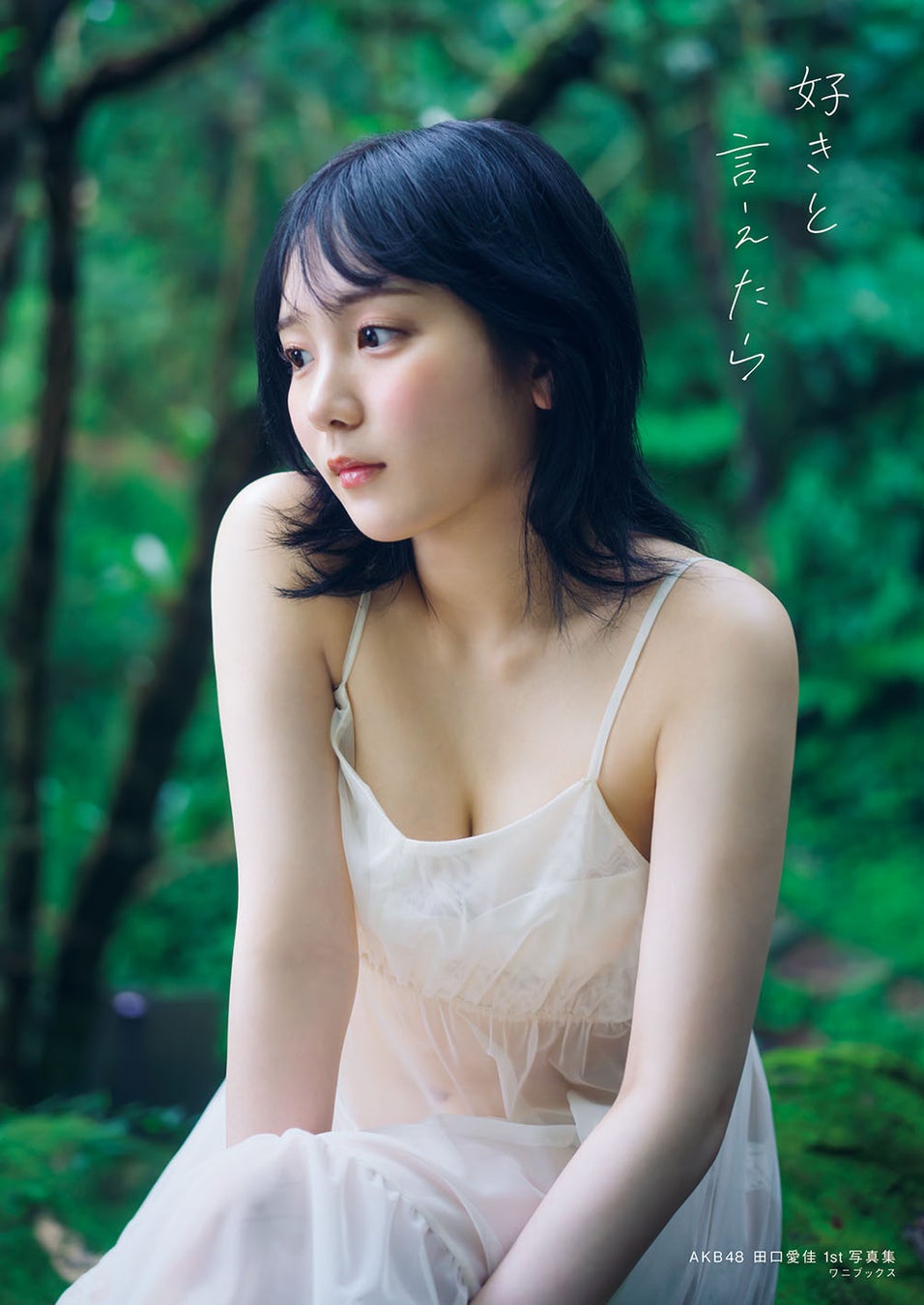 129409-160-264d08f83779c86cd77352408523cdd9-1003x1416-1 AKB48田口愛佳1st写真集 タイトル＆表紙解禁！